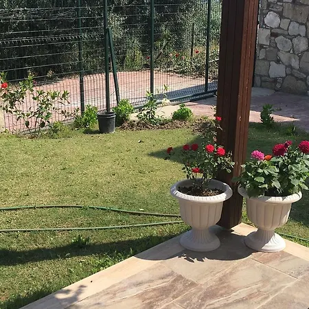 New Modern 270 Degrees View